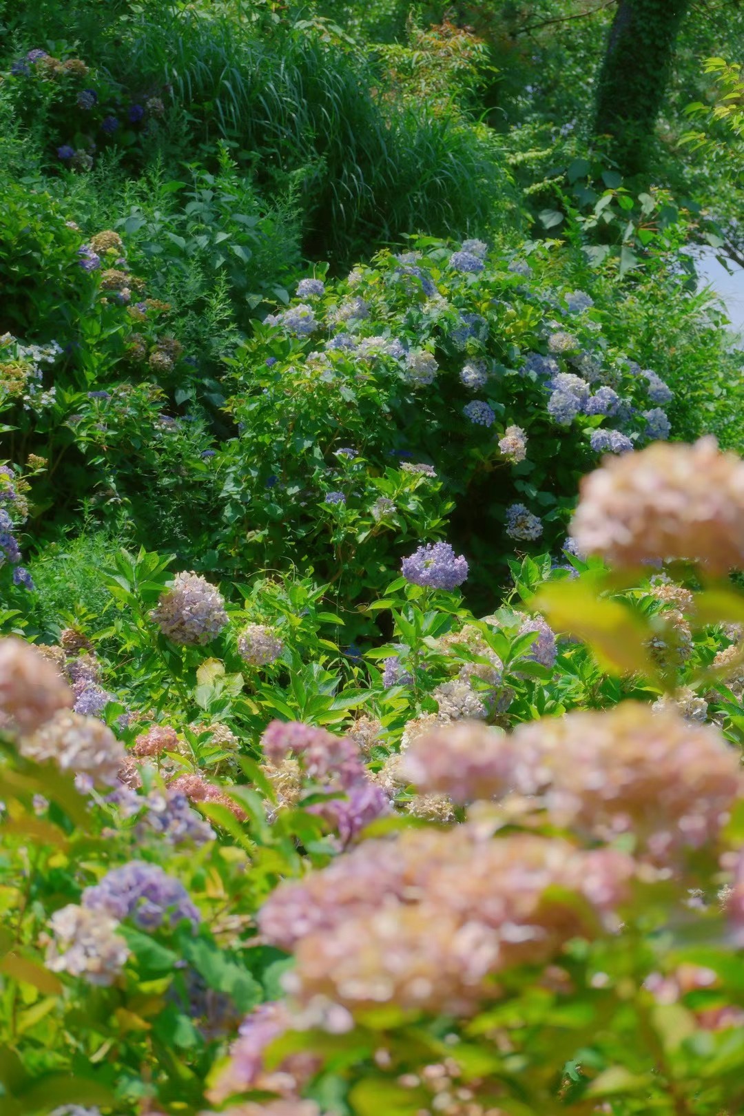 19 (2) from the seasons photography series.